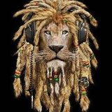 jahmonk - jungle lover!