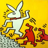 Running After Rabbits