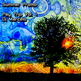 Summer Promo - Psy Trip Vol.1