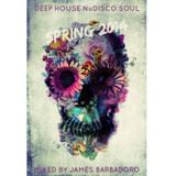 Deep House Nu Disco Soul | Spring Mix 2014 | by James Barbadoro