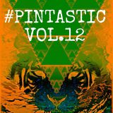 #Pintastic Vol.12