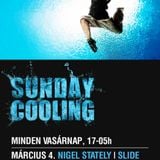Nigel Stately b2b Tigran - Live @ Coronita Club Budapest Sunday Cooling 2012.03.04.