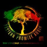 Phuture-T : The Eastern Promise Audio Radio Show Jungletrain.net 19-12-2014