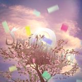 dice:: Spring Theory 2