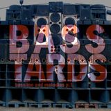 Bassline and melodies