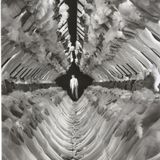 My Mixtakes VII: The Illusion of Progress / The Delusion of Progress