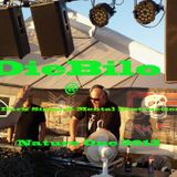 DieBilo @ SHG 7 meets Dark Signs & Mental Destruction Bootcamp on Nature One 2013 (1)