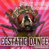 Ecstatic Dance Amsterdam - Sunday morning - Dj Martyn Zij - 14-12-2014