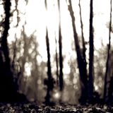 A Time for New Dreams