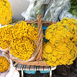 20190605_RM_SomEnxada #89 ............. A Cozinha Da Olides