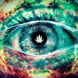 2013.04.29. - Cykra Dubstep Grime Trap Deep Chill MiX