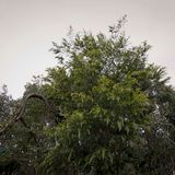 GÜETA 04