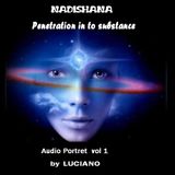 Audio Portret 1-- NADISHANA (etno fusion)