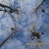 Agriculture et forêt : à l’orée de nouvelles relations ?