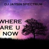 Where Are U Now Mixshow
