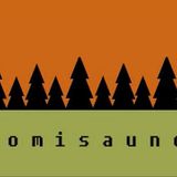 Finnish sound (pSyanide 27.11.2011)