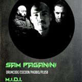 Nick Zero @ SUNshine Music Fest 31/03/2013 w/ SAM PAGANINI