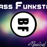 Bass Funkster's Musical Freedom 2013