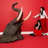 MUSIC PLAN - WHITE STRIPES