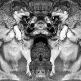 DǾИ'ȶ F3A℞ ȶH3 ℞3AP3℞ ▲ǾCȶǾB3℞ 2Ǿ14 MⅈИⅈ-MⒾX▲