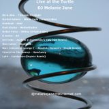 Live at the Turtle