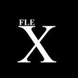 FleX@GOTEC Karlsruhe - Electro Swing Night