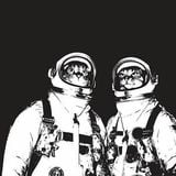 cAt's - TRIPNOTIX - Essentials