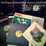 DigRealDeep series_15.02