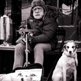 The Old Man Lory Mix
