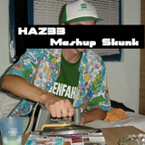 HAZ33 - Mashup Skunk