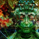 Shruti - Travelling Beyond Consciousness / Psychofreaks 11/2013