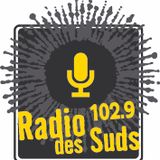 SALON DE MUSIQUE DE CEDRIC WATSON ET SARAH SAVOY PAR JEAN-PIERRE BRUNEAU - Lundi 13 juillet 2015