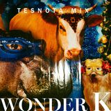 WONDER K – LIVE DJ SET @ DELPHINARIUM