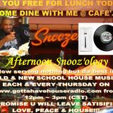 4.18.2013 Afternnon Snooz'ology show @ Gottahavehouseradio Chicago