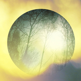 Kepler 13th April 2016