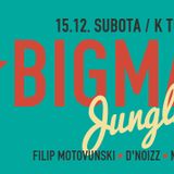 Oliver live set @Big Mama Session 15.12.2012.