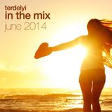 In the Mix - June 2014
