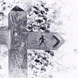 Forward Ever > Backward Never (Part 2)