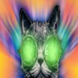 High´n´Love