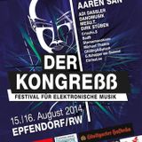 Danomusik @ KongreSS Festival 16.08.2014