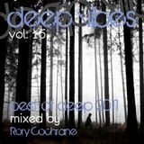 Deepvibes Volume: 16 // Best Of Deep 2011