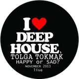 Tolga Tokmak November 2013 happy or sad? (D-Motion live mix)