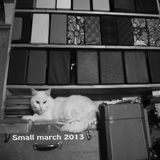 Small march 2013