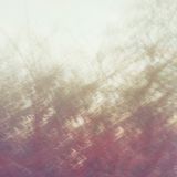 JK_130316