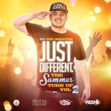 DJ Irie Scratch - Just Different vol.2 (The Summer Turn Up)