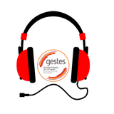 Interview DIM Gestes_Colloque 2015 pour Miroir Social - Helderlé