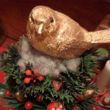 Eva Pacifico - The Best of my Nest 2010 - Chill