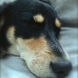 Thomilla's Lazy Sunday Podcast...