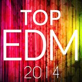 The best of Vocal Electro House of 2014 part 1