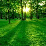 Escapin' in the Green -Live at TienAnMen Park -July 27th, 2013